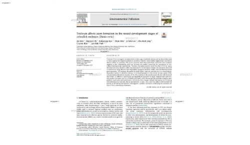 Triclosan affects axon formation in the neural development stages of zebrafish embryos (Danio rerio)